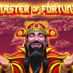 Master of Fortune game cover